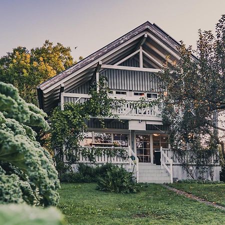 Gardenia-Altach, 2-4 P, Kueche, Garten, Terrasse, Parkplatz, Wifi, Ski Stellplatz ภายนอก รูปภาพ